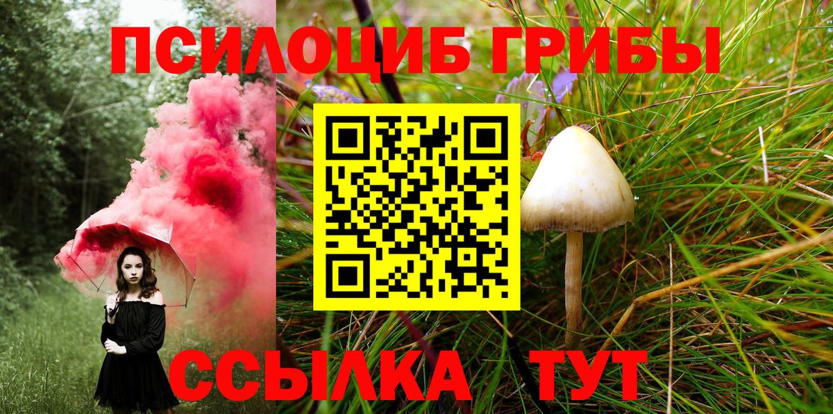 Лабинск  цена наркотик  Вход с VPN  Псилоцибиновые грибы Psilocybe 